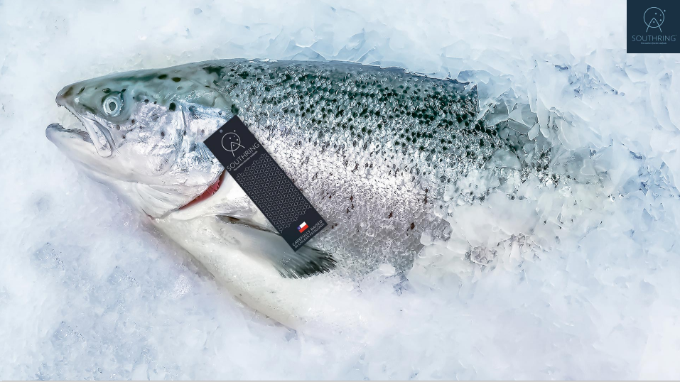 佳沃食品參加第三屆“一帶一路”企業家大會