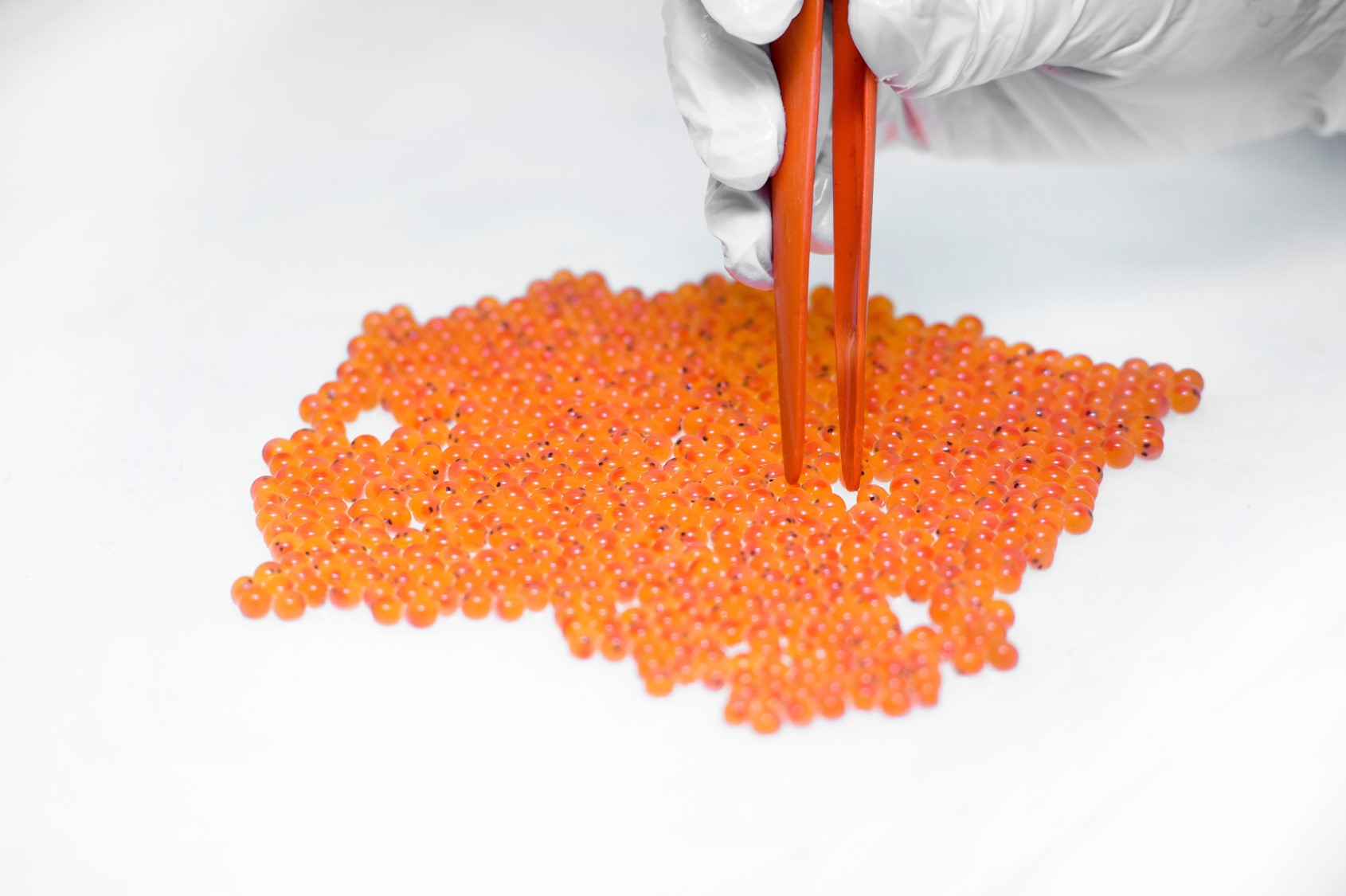 養(yǎng)殖場(chǎng)13