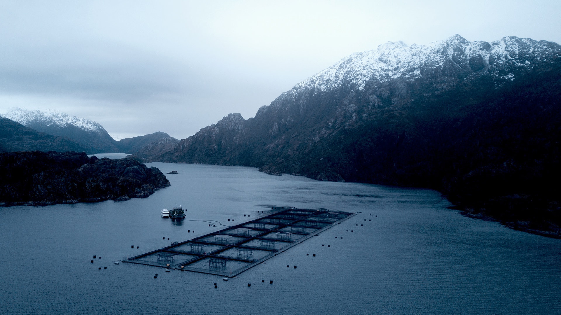 佳沃食品2022半年報(bào)重磅發(fā)布！